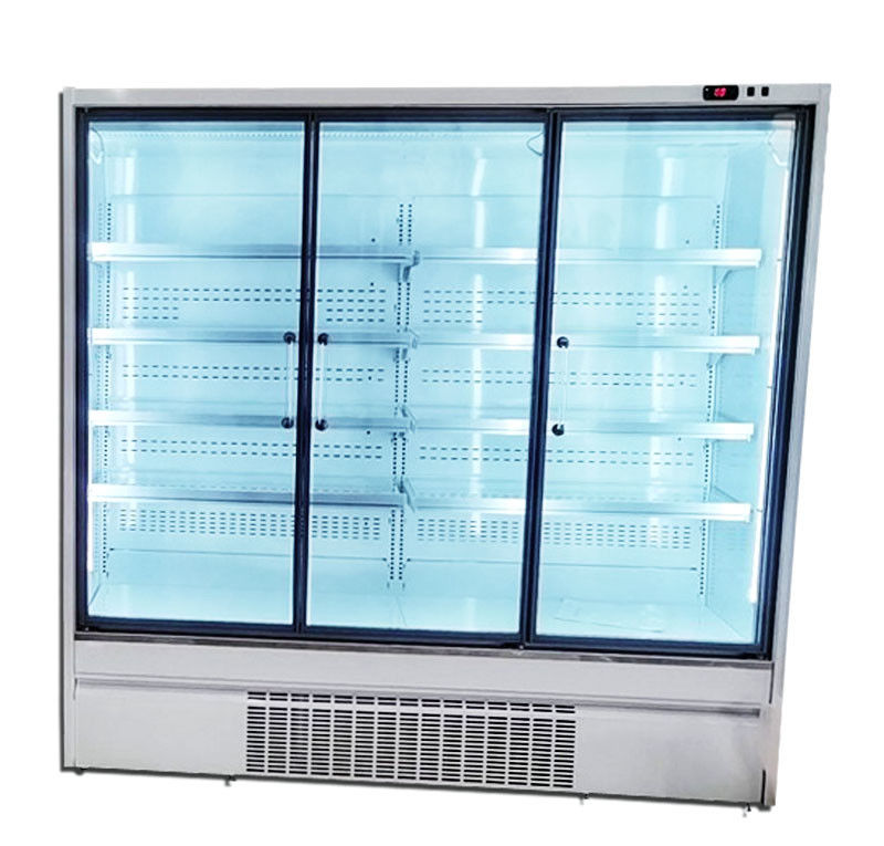 Supermarket R290 Upright Glass Door Cooler 2/3/4 door 220V/50HZ